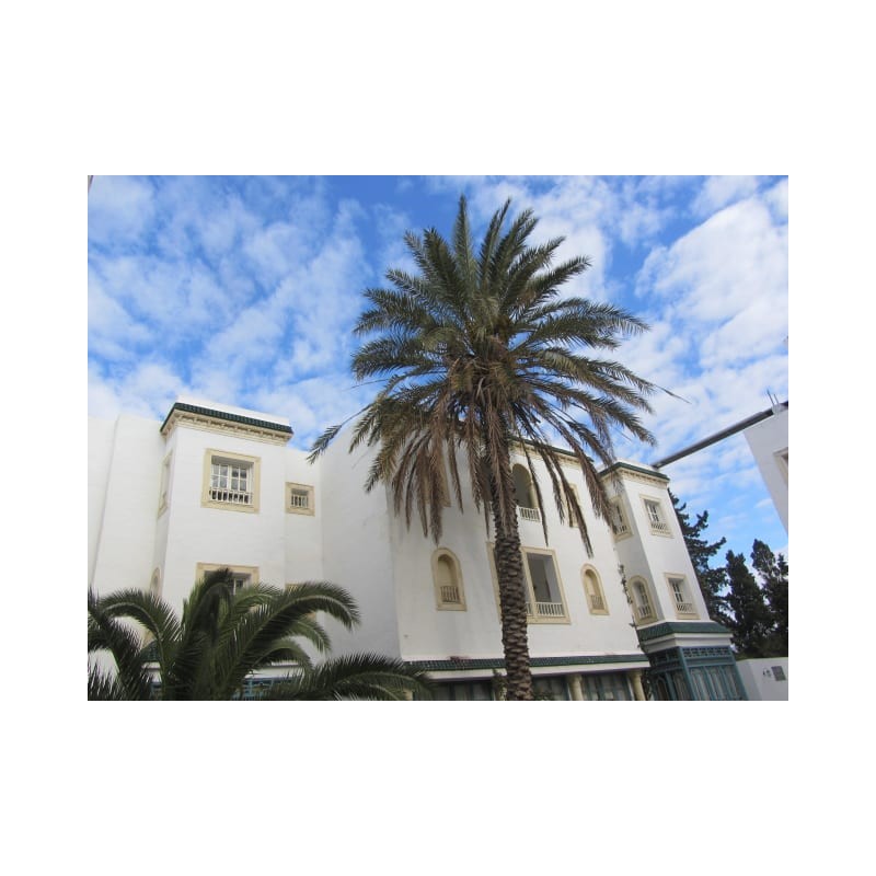Hotel Residence Mahmoud