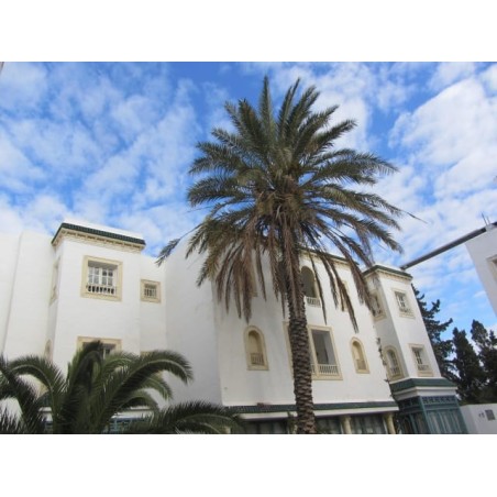 Hotel Residence Mahmoud
