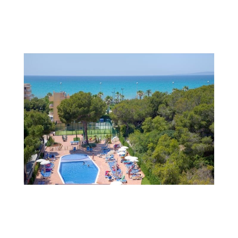 Hotel Timor