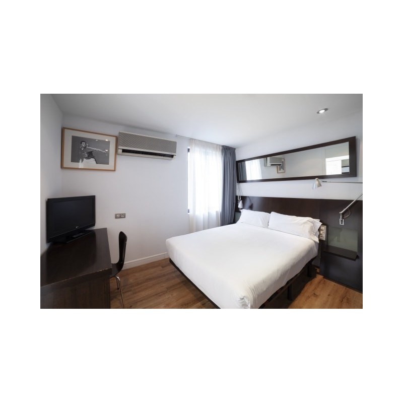 Hotel Petit Palace Arana