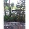 Hotel Eva Beach
