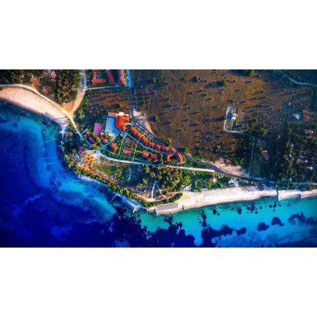 Hotel Blue Dolphin