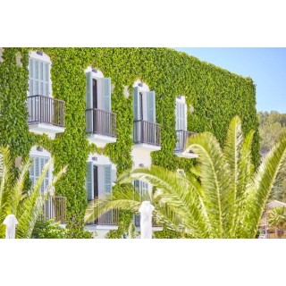 Cupido Boutique Hotel