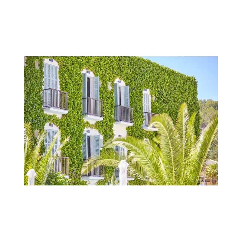 Cupido Boutique Hotel