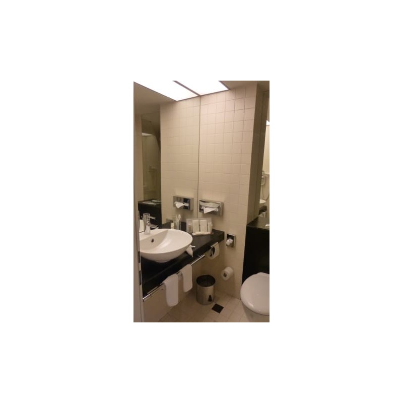 Hotel Ramada Plaza Bukarest