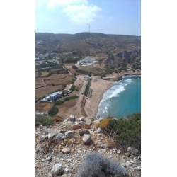 Royal Beach Hotel