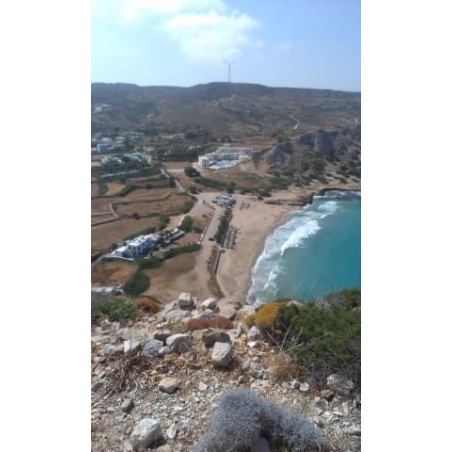 Royal Beach Hotel