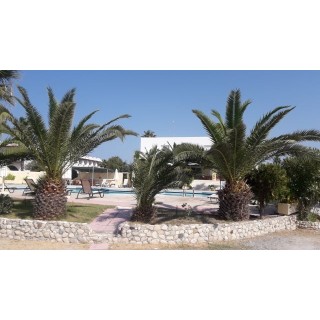 Leonidas Hotel & Studios