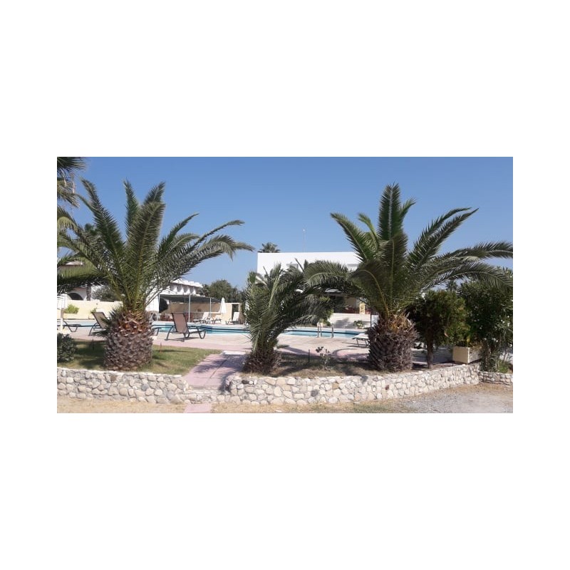 Leonidas Hotel & Studios