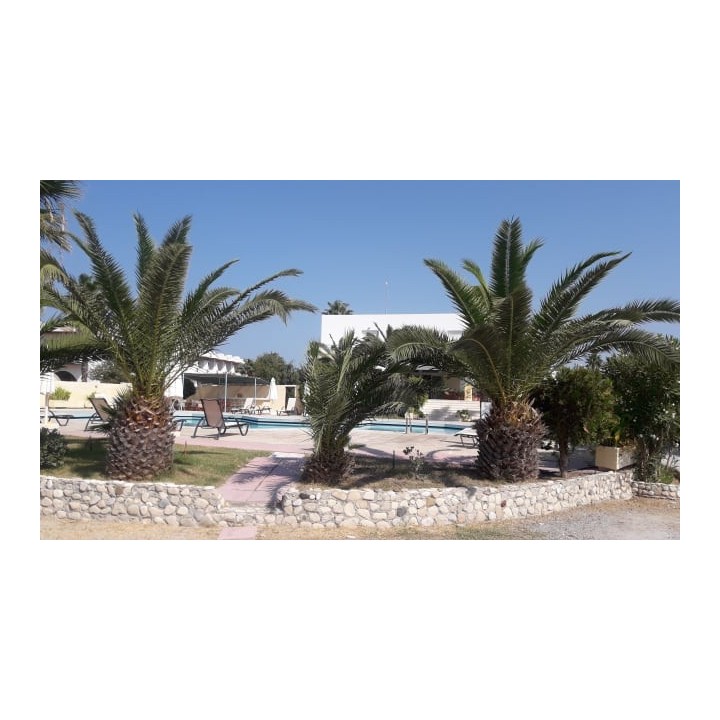 Leonidas Hotel & Studios