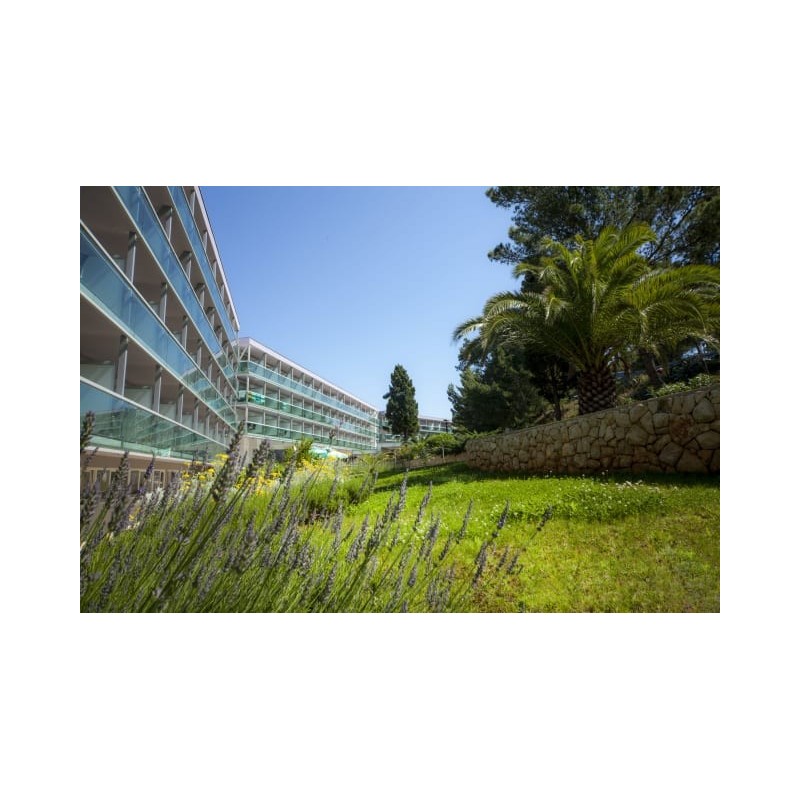 Hotel Aurora