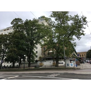 Hotel Elite Park Avenue