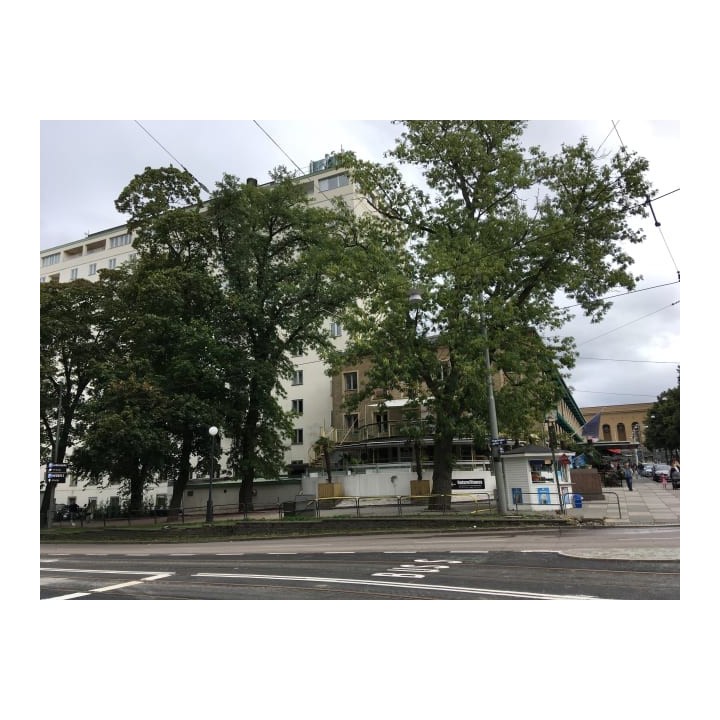 Hotel Elite Park Avenue