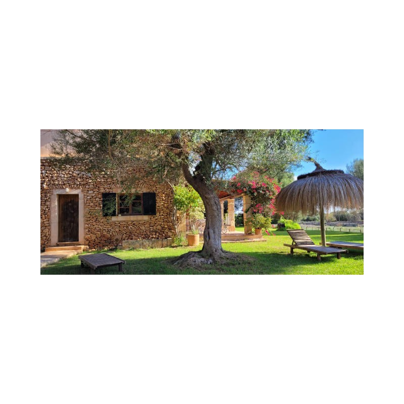 Finca S'Antigor