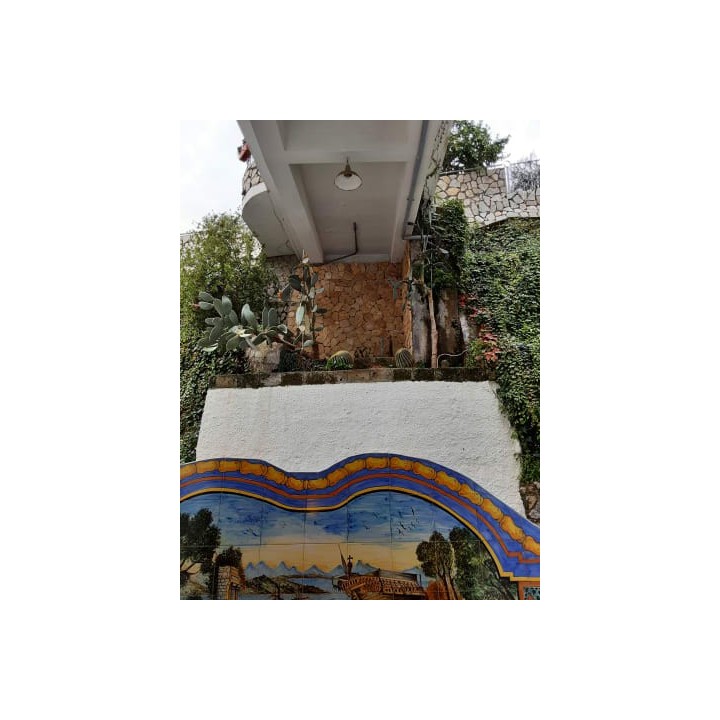 Grand Hotel President