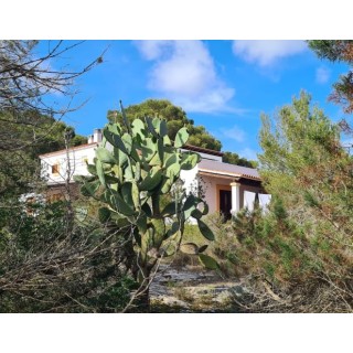 V.T. Casin Apartments