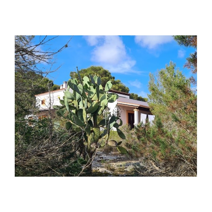 V.T. Casin Apartments