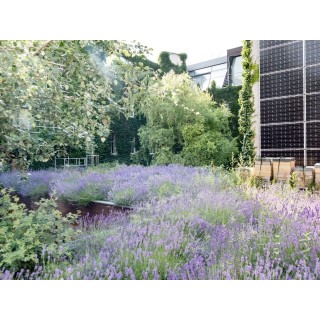 Boutiquehotel Stadthalle