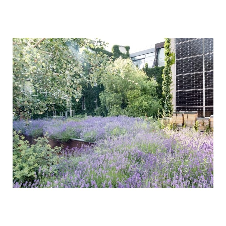 Boutiquehotel Stadthalle