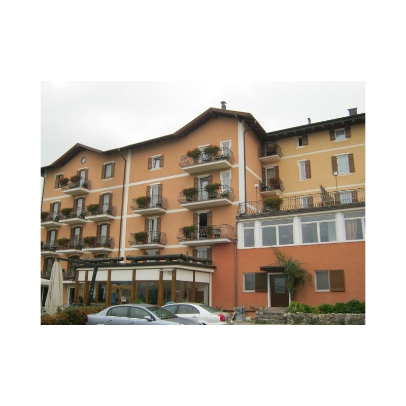 Stella delle Alpi