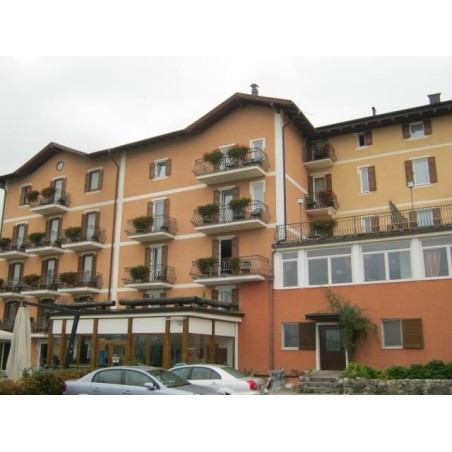 Stella delle Alpi