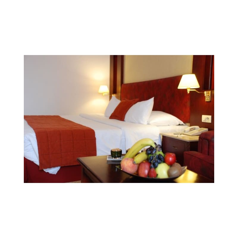 Safir Hotel Cairo