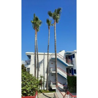 Hotel Green Bungalows