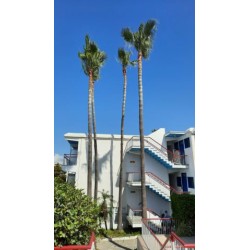 Hotel Green Bungalows