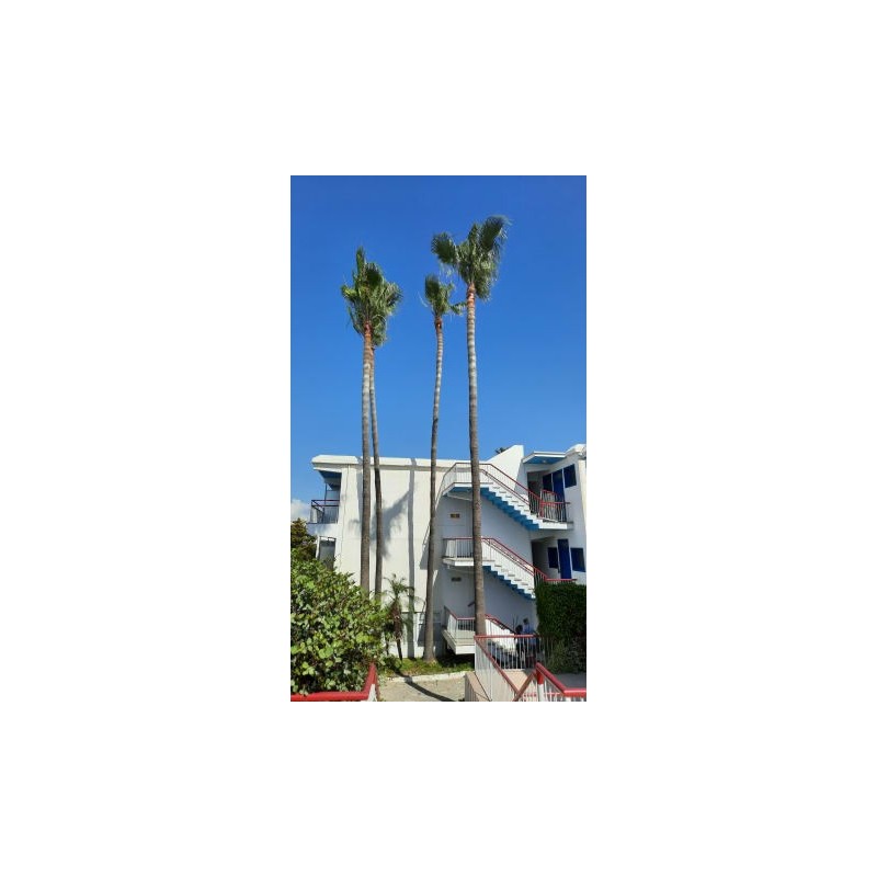Hotel Green Bungalows