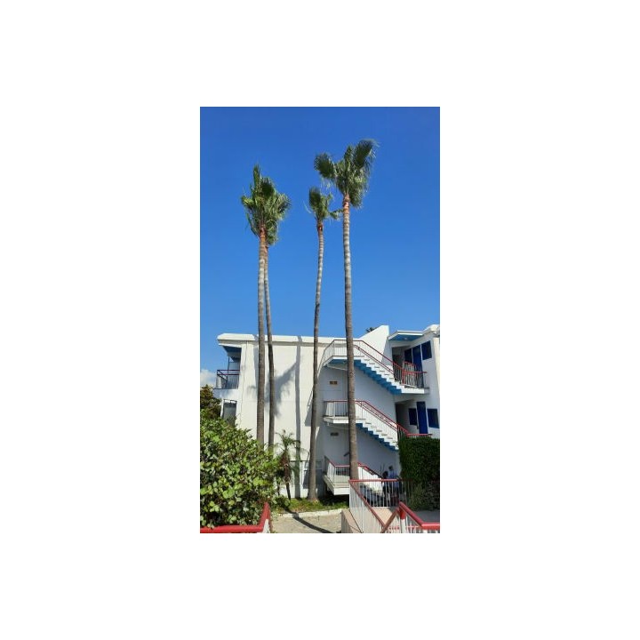 Hotel Green Bungalows