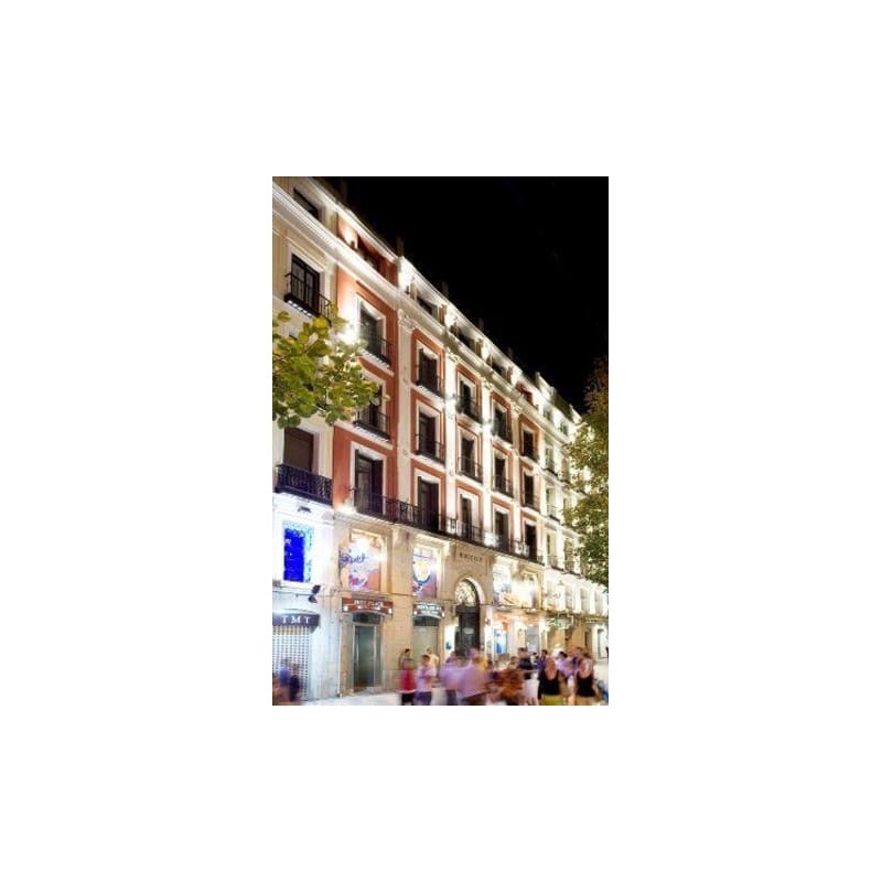 Hotel Petit Palace Puerta del Sol