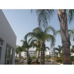 Hotel Christofinia