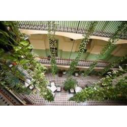 Hotel Peninsular