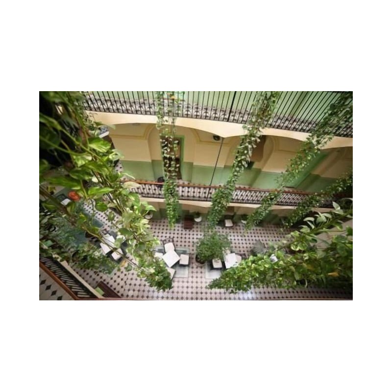 Hotel Peninsular