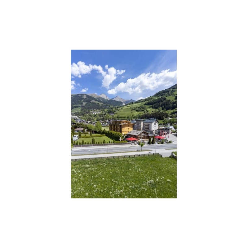 AlpenParks Hotel & Apartment Montana Matrei