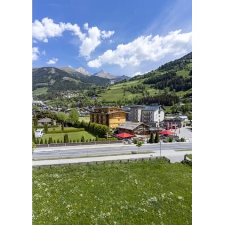 AlpenParks Hotel & Apartment Montana Matrei