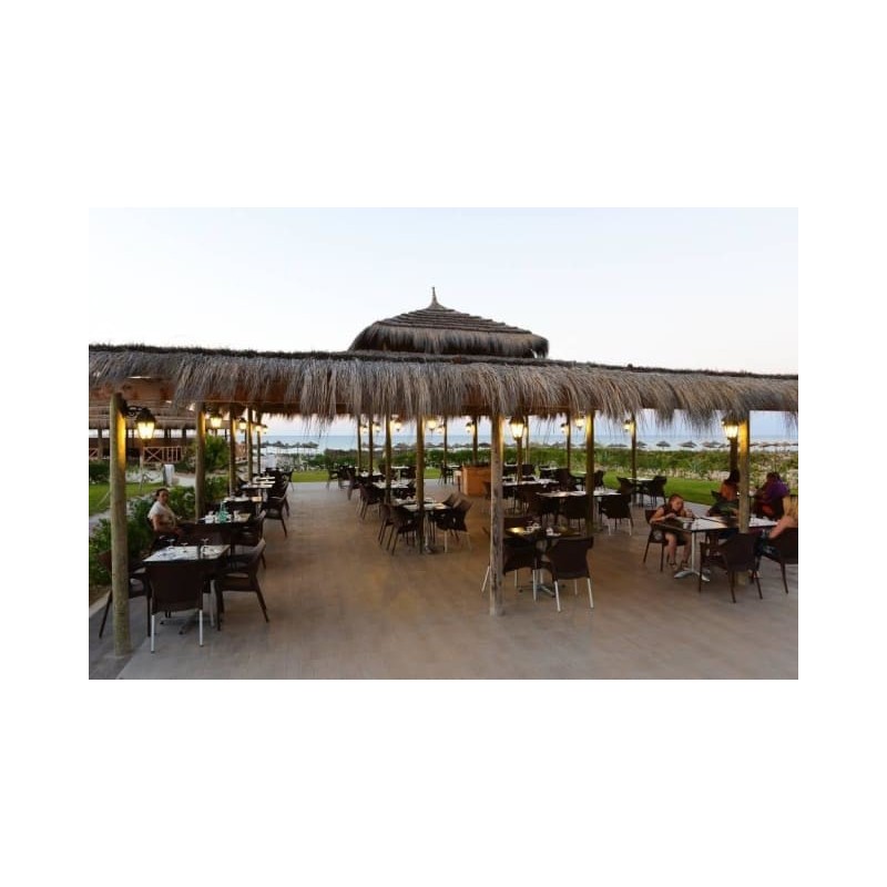 Hotel Meninx Djerba