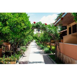 Özlem Garden Hotel