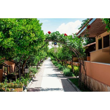 Özlem Garden Hotel