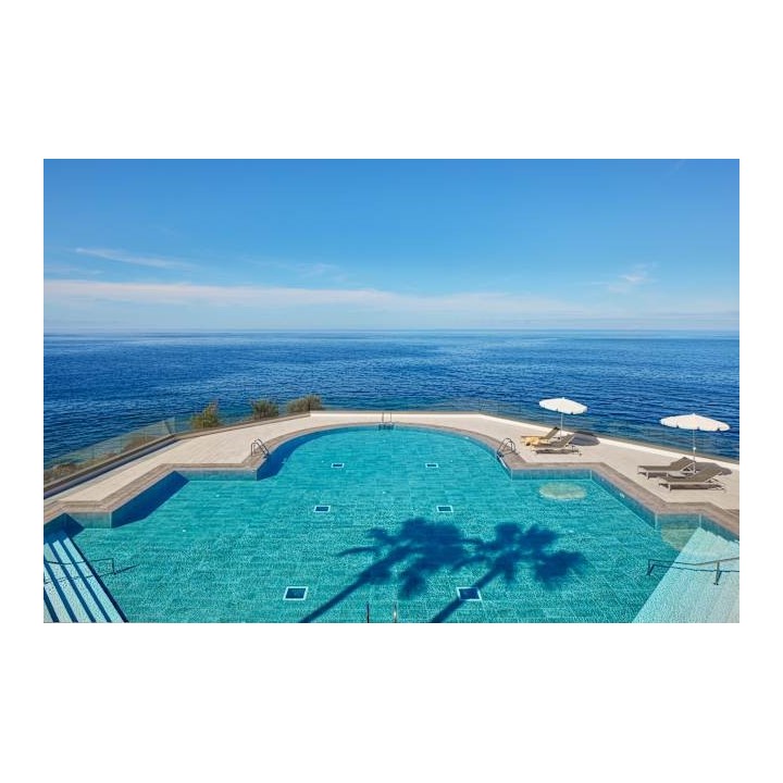 Melia La Palma Hotel