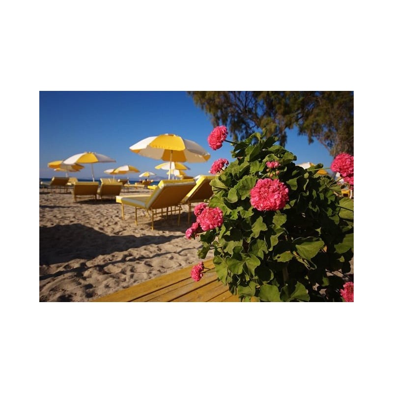 Marianna Hotel