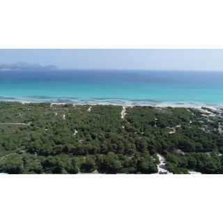 Valentin Playa de Muro