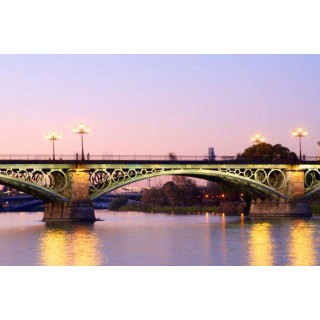 Petit Palace Puerta de Triana