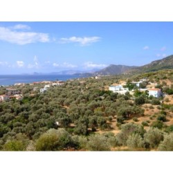 Apartments Jota