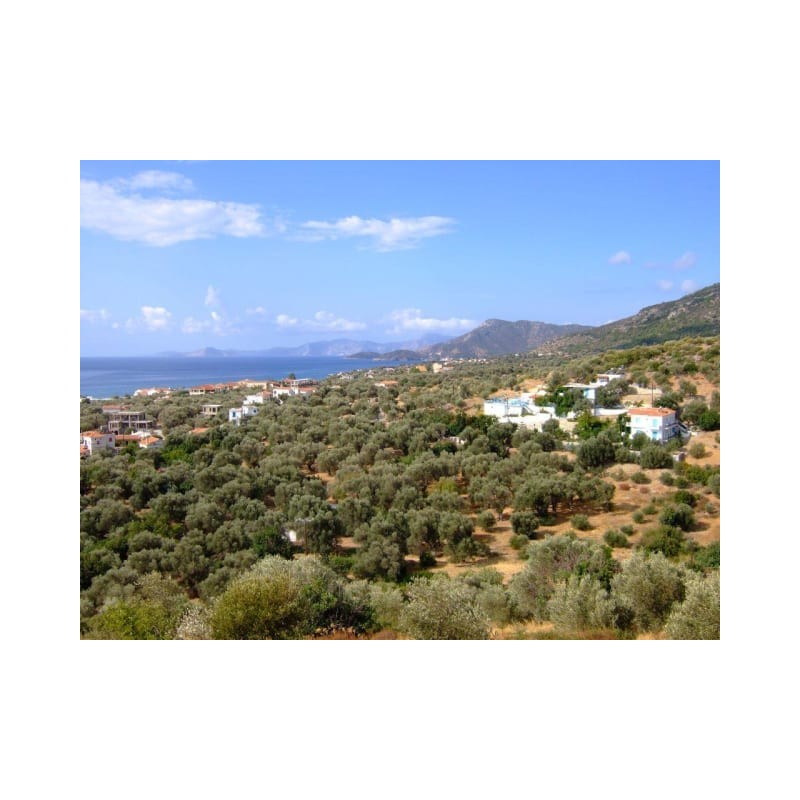 Apartments Jota