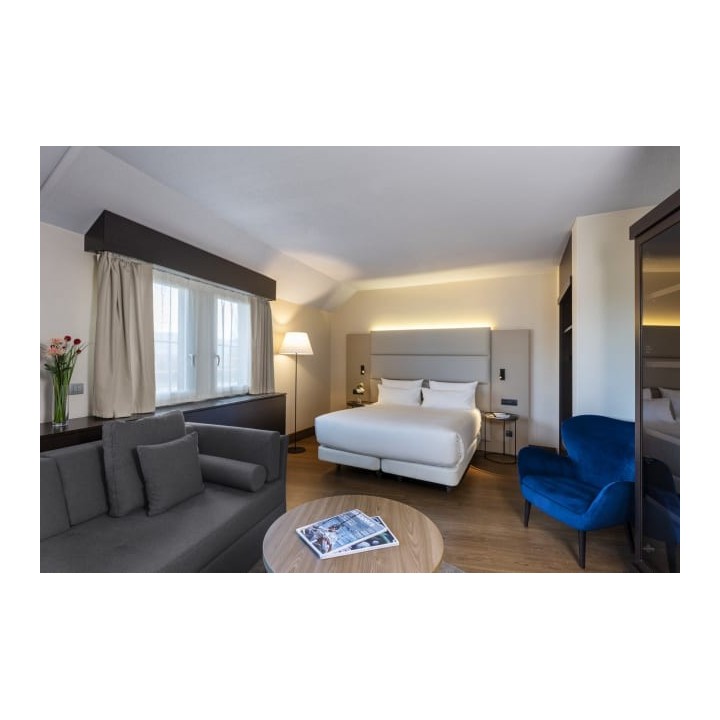 Hotel NH Geneva Airport