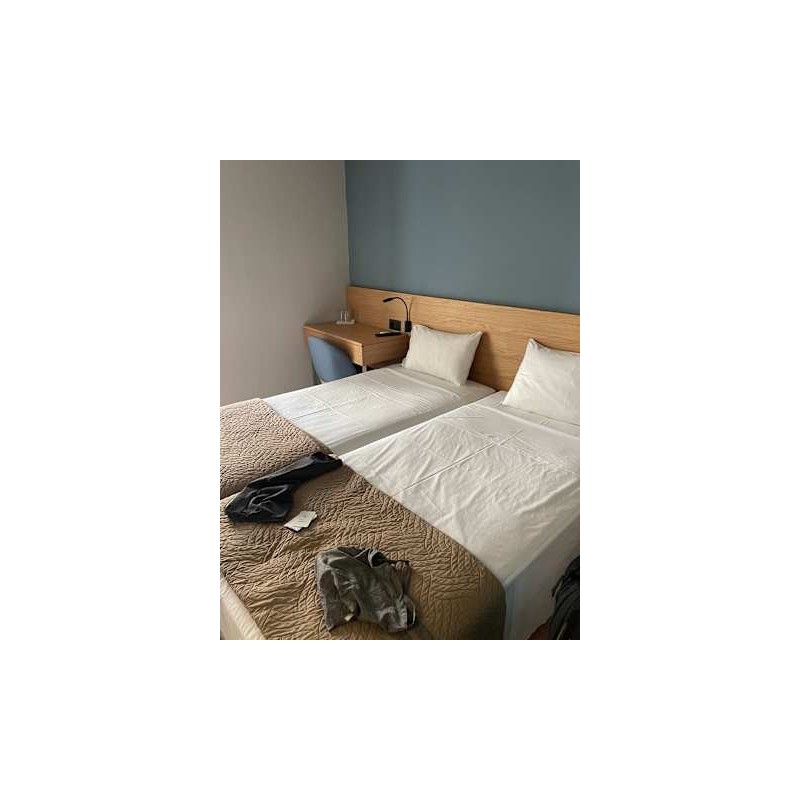 Hotel Athinaiko