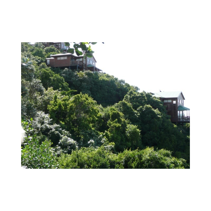 Hotel Boardwalk Lodge