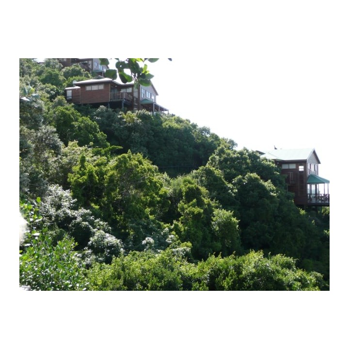 Hotel Boardwalk Lodge