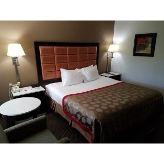 Hotel Ramada Inn Tampa FL